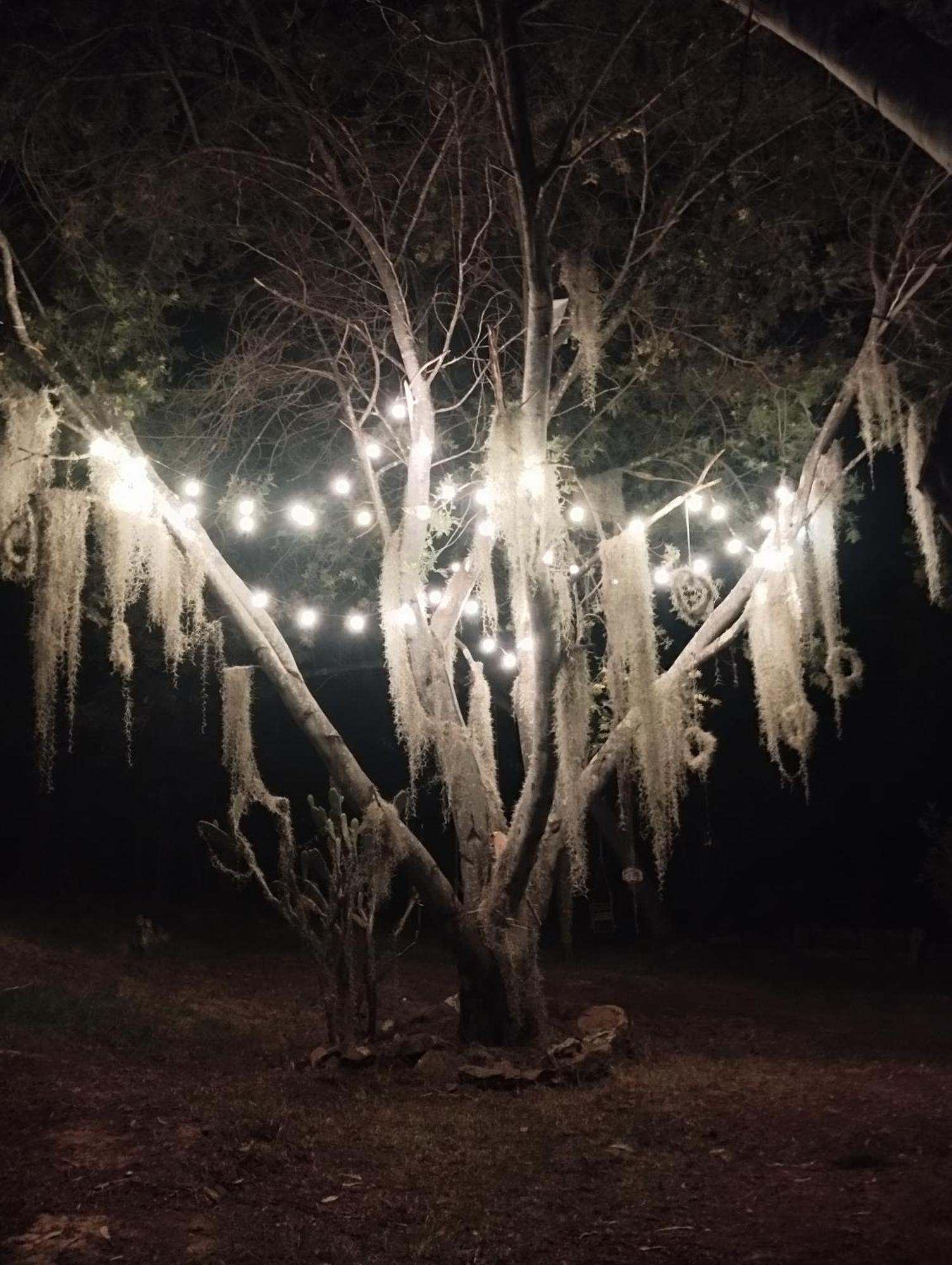 Chalet Magica